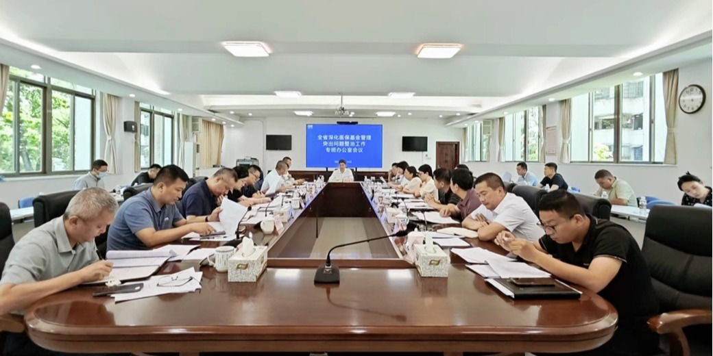 全省深化医保基金管理突出问题整治工作专班办公室会议召开
